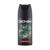 DENIM Wild deodorant sprej pánsky 150 ml